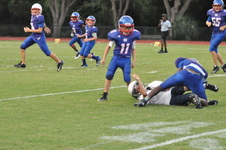 Enlarge photo 710