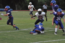 Enlarge photo 810
