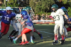 Enlarge photo 25