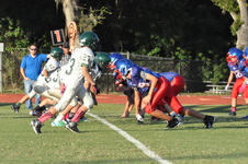 Enlarge photo 42