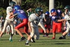 Enlarge photo 45