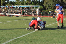 Enlarge photo 51
