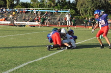 Enlarge photo 52