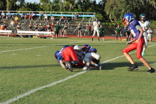 Enlarge photo 53
