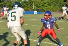 Enlarge photo 55