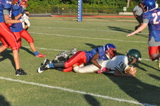 Enlarge photo 59