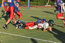 Enlarge photo 60