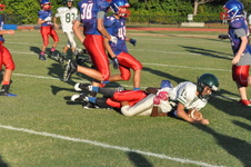 Enlarge photo 61