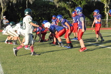 Enlarge photo 63