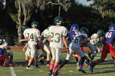 Enlarge photo 67