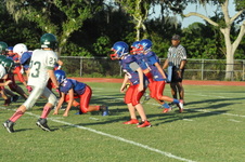 Enlarge photo 84