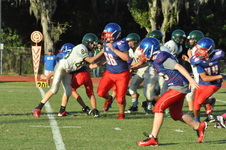 Enlarge photo 87
