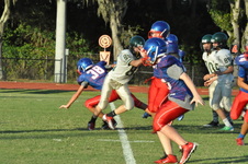 Enlarge photo 88