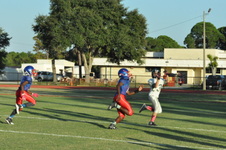 Enlarge photo 91
