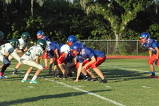 Enlarge photo 98