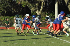 Enlarge photo 114
