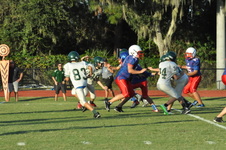 Enlarge photo 115