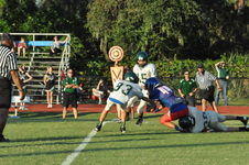 Enlarge photo 119