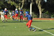Enlarge photo 129