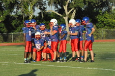Enlarge photo 135