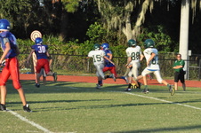 Enlarge photo 148
