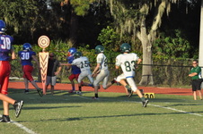 Enlarge photo 149