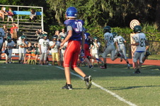 Enlarge photo 151