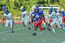 Enlarge photo 169