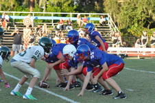 Enlarge photo 181