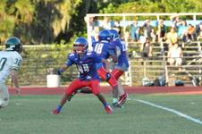 Enlarge photo 197