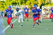 Enlarge photo 207