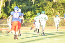 Enlarge photo 236