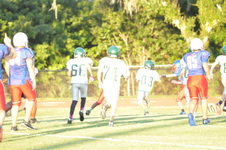 Enlarge photo 238