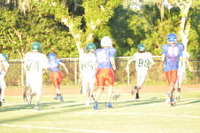Enlarge photo 241
