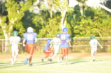 Enlarge photo 243