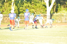 Enlarge photo 245