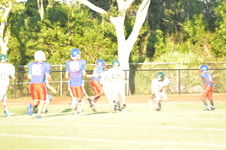 Enlarge photo 248
