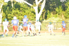 Enlarge photo 249