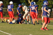 Enlarge photo 255