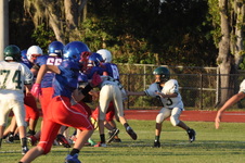 Enlarge photo 260