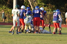 Enlarge photo 262