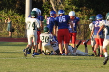 Enlarge photo 263
