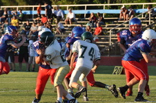 Enlarge photo 271