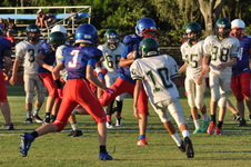Enlarge photo 276