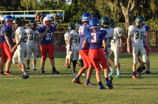 Enlarge photo 278