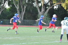 Enlarge photo 305