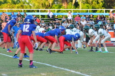 Enlarge photo 306