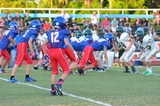 Enlarge photo 307