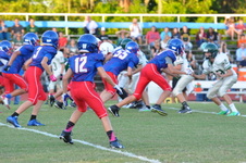 Enlarge photo 308