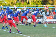 Enlarge photo 309